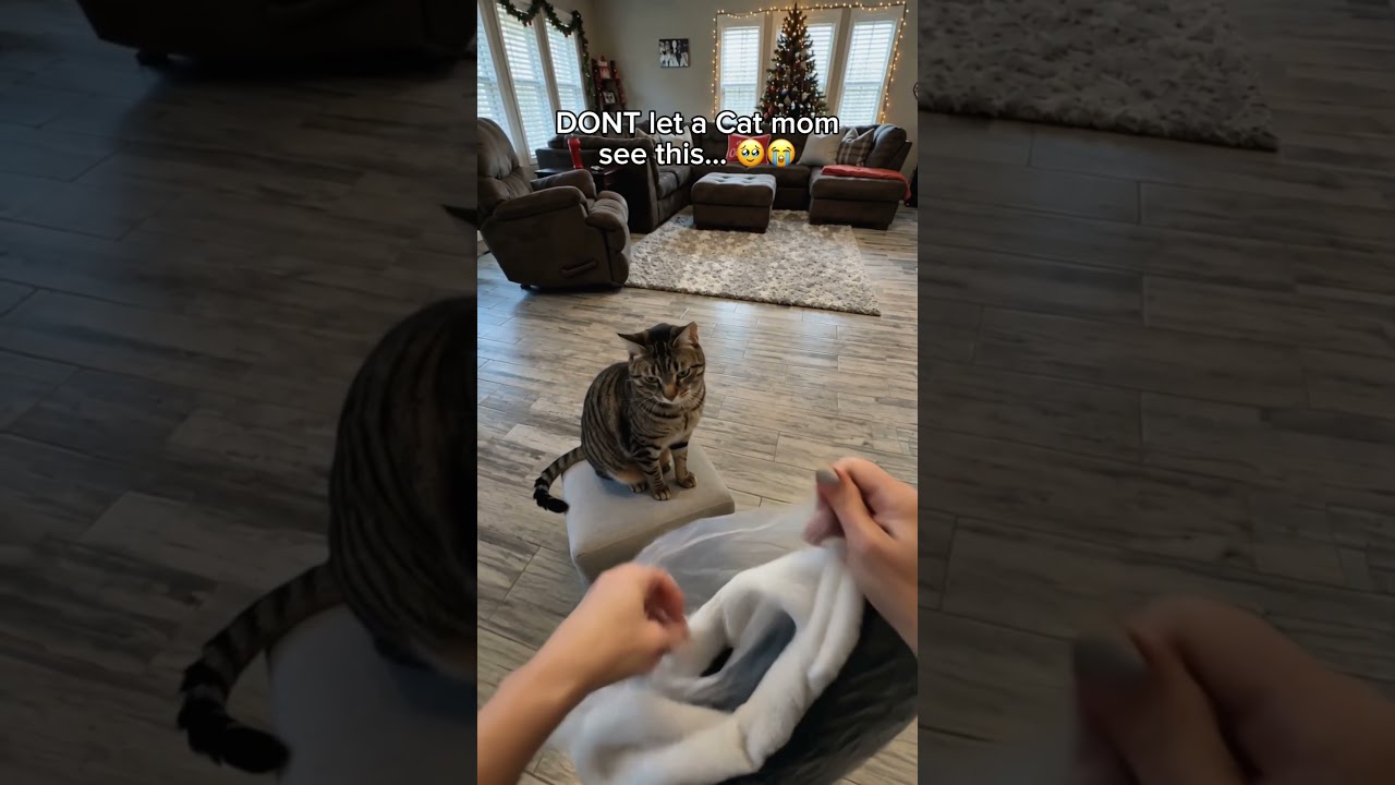 Best Christmas gift
