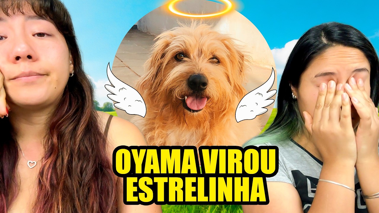 Nosso cachorro OYAMA virou estrelinha | Blog das irmãs