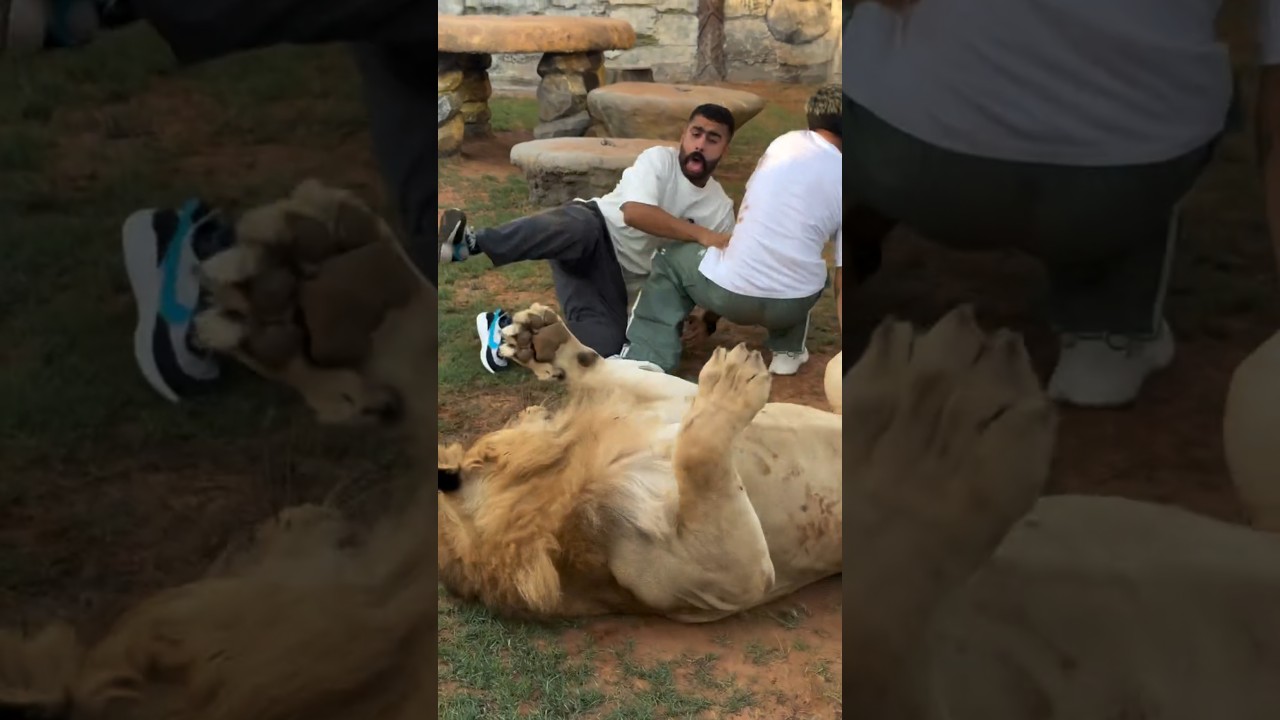 ابن عمي وبوشنب نايمين علا اسد🤣🤣