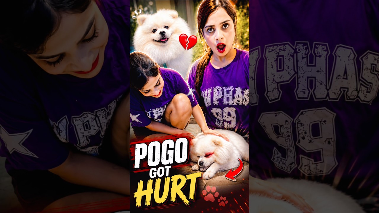 POGO HUA HURT 🐶🥺♥️ #youtubeshorts #funny #cutedog