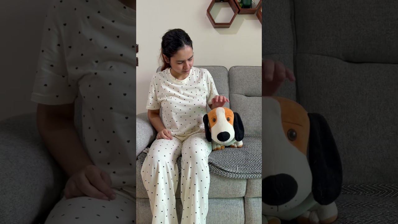 Momme hui doodle and toy me confuse 😅 #dog #funny #dogmom #relatable