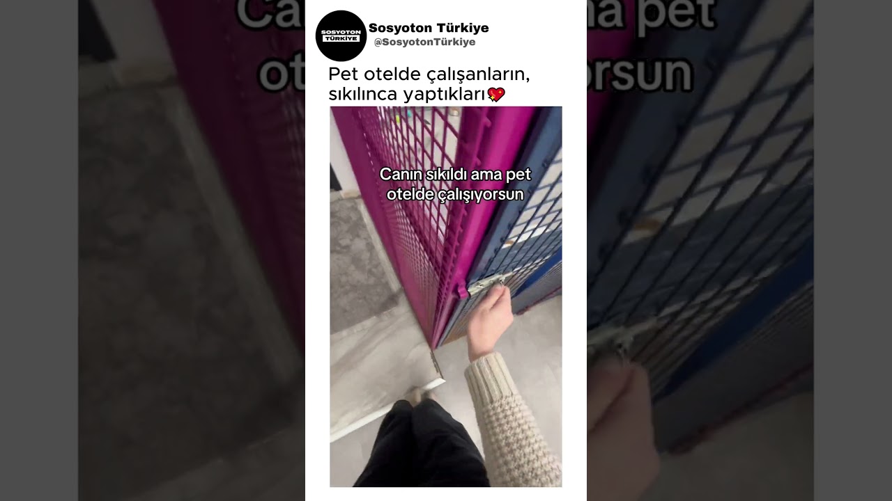 Pet Otelde Çalışanların Sıkılınca Yaptıkları💖