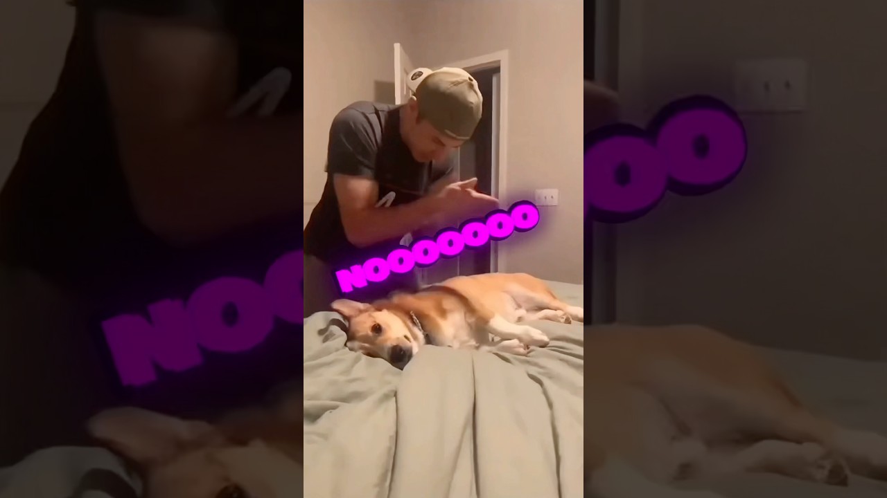 Don’t Check The Sound 😭❤️ - Published by 60sec Of Everything