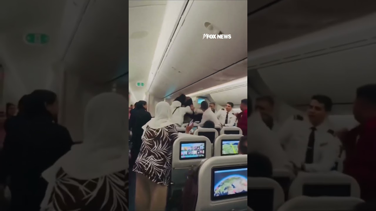 WATCH: BRAWL BREAKS OUT during flight #shorts #fight #brawl #plane #flight