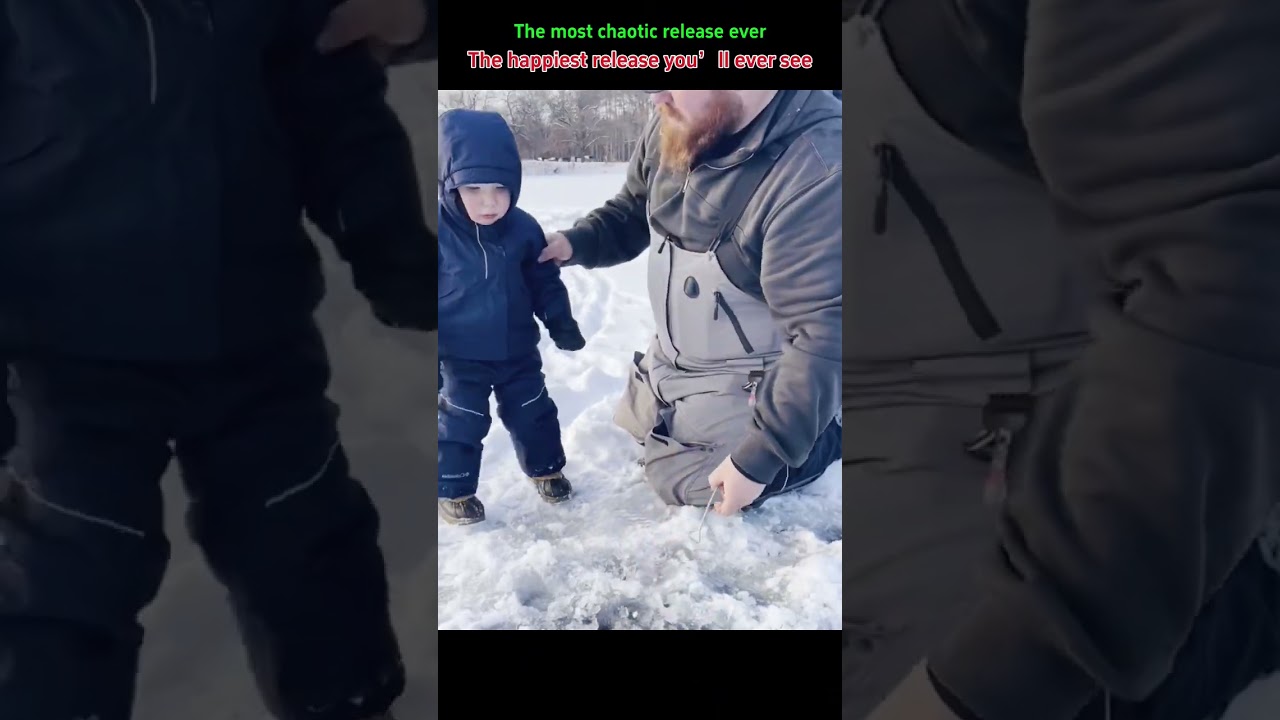 We released them. They adopted us#funnyanimals #wildanimals #funny #funnyvideosclips