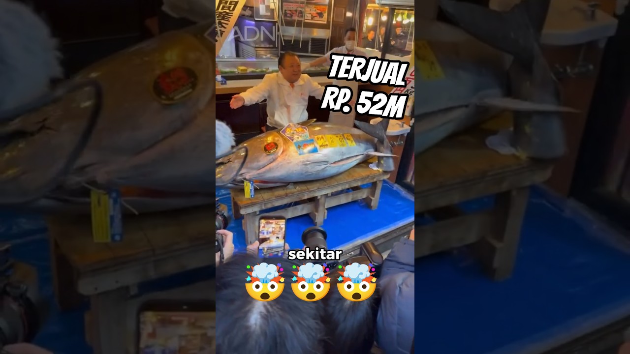 Ikan Ini Harganya Tembus Rp240 Miliar... Pantas Semua Berebut!