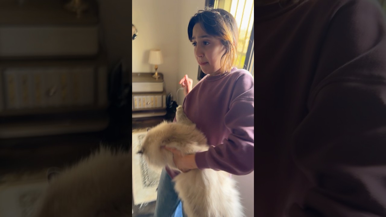 هاي قطه مجنونه #جوجو #كنان #اكسبلور #funny #comedy #