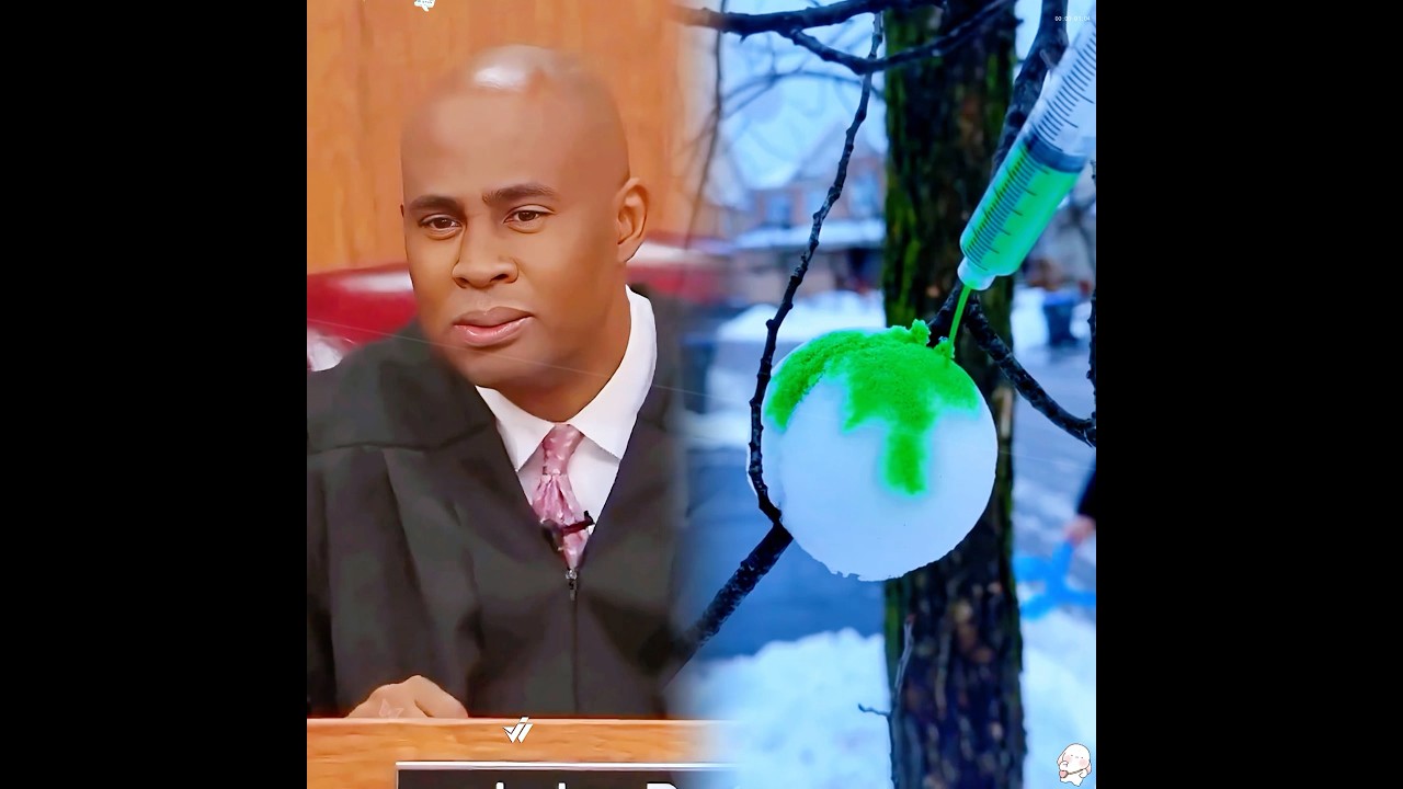 Woman Sued For FEEDING CATS 🤯