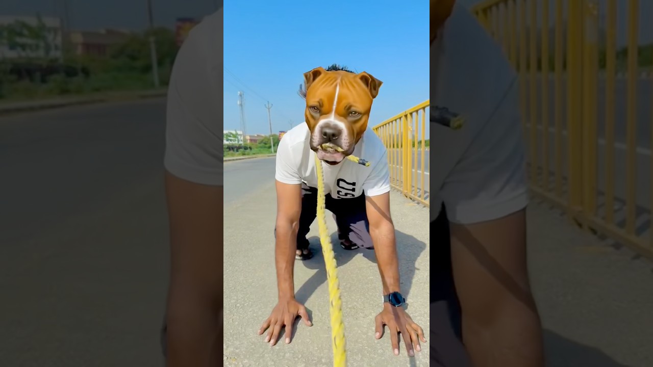 Doge ne Monish ko bacha liya❤️#comedy #funny #cutebaby #shortsfeed #dog #viralvideo