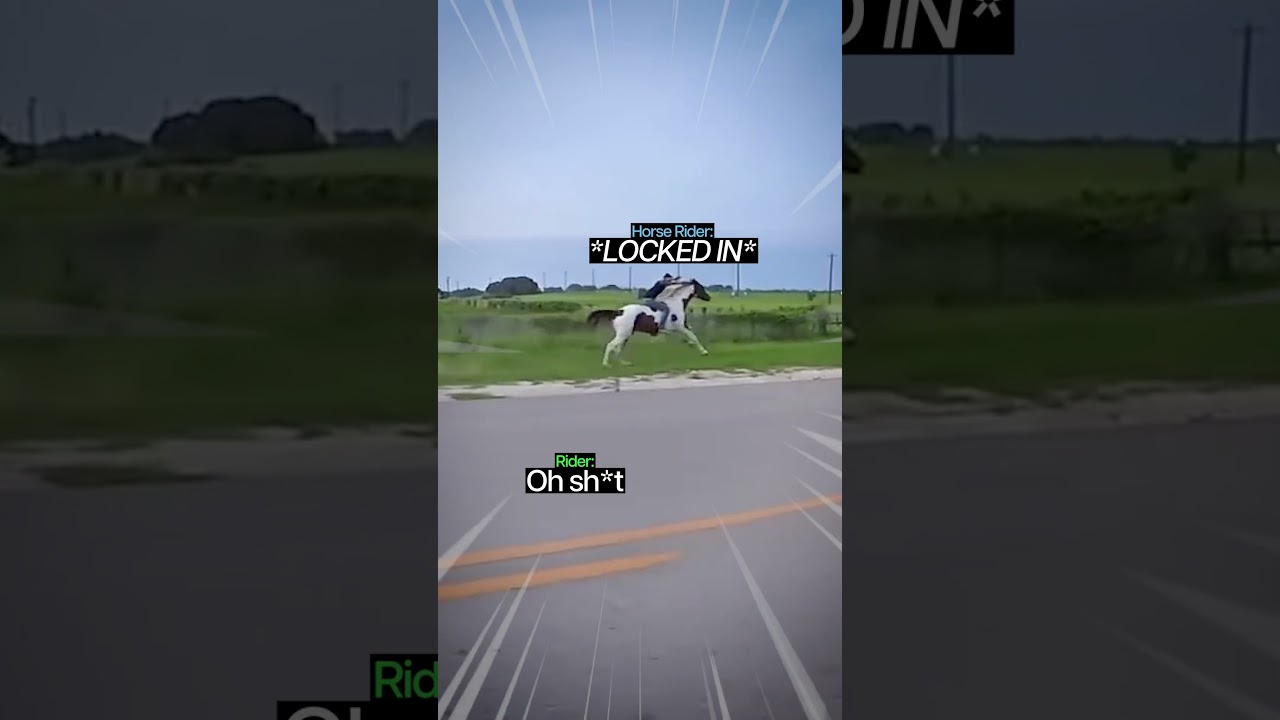 Biker Gets Humbled By Horse Rider😳
