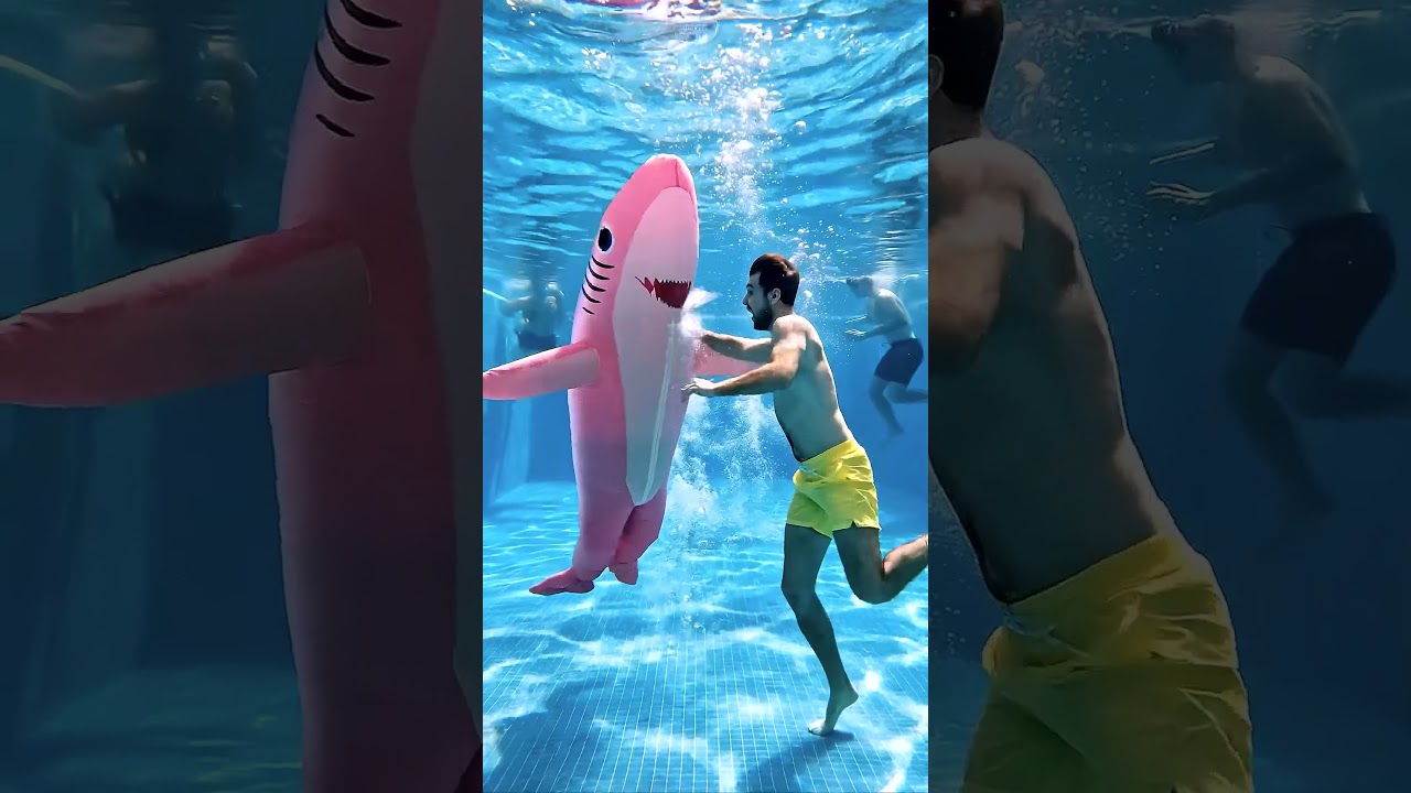 The shark fell into the pool 🦈😱