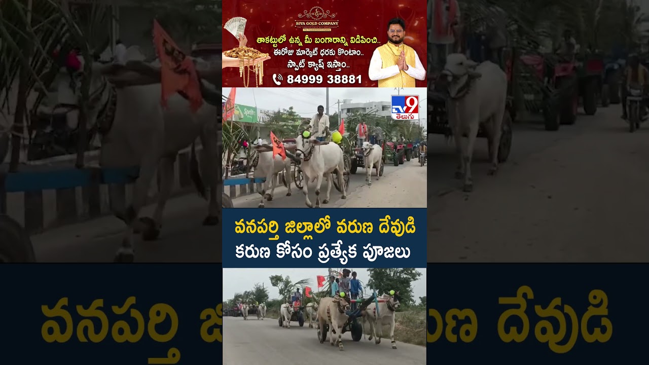 వనపర్తి జిల్లాలో వరుణ దేవుడి కరుణ కోసం ప్రత్యేక పూజలు  - TV9