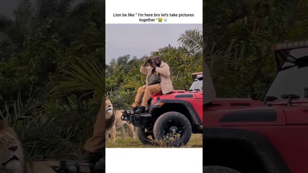 bro's in danger now 😭🤣 #trending #funny #funnyvideo #viral #memes #explore #love #animals - Published by Let's Romantic 