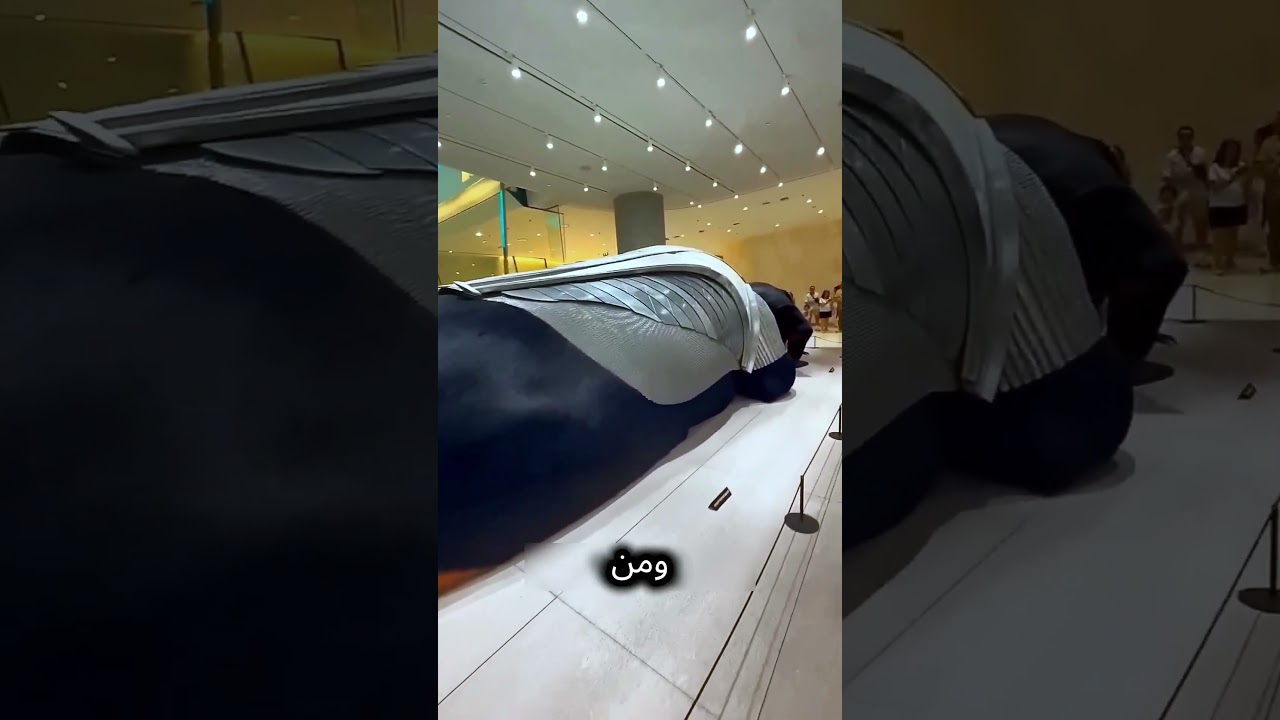 كلب الحراسة نايم… بس بيصحى على السبسكرايب! 😂 #اكسبلور#shorts #funny #reels