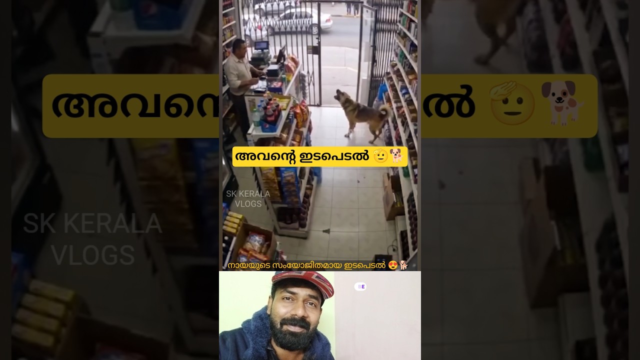 നായ ഓടിവന്ന് അറിയിച്ചത് കണ്ടോ 😍🐾