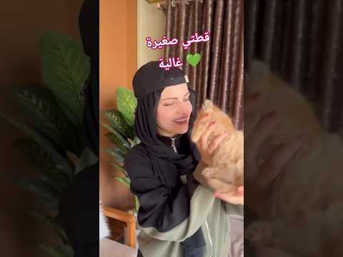 طلعت قطتي عل مسبح 😍💚 #اكسبلور #shortvideo #shorts