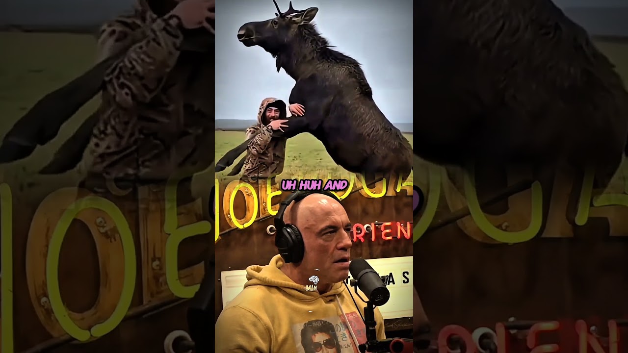 Rogan reacts to a new video behind Charlie kirk