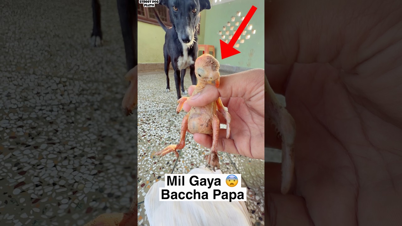 Baccha ke papa Mil Gaye 😨