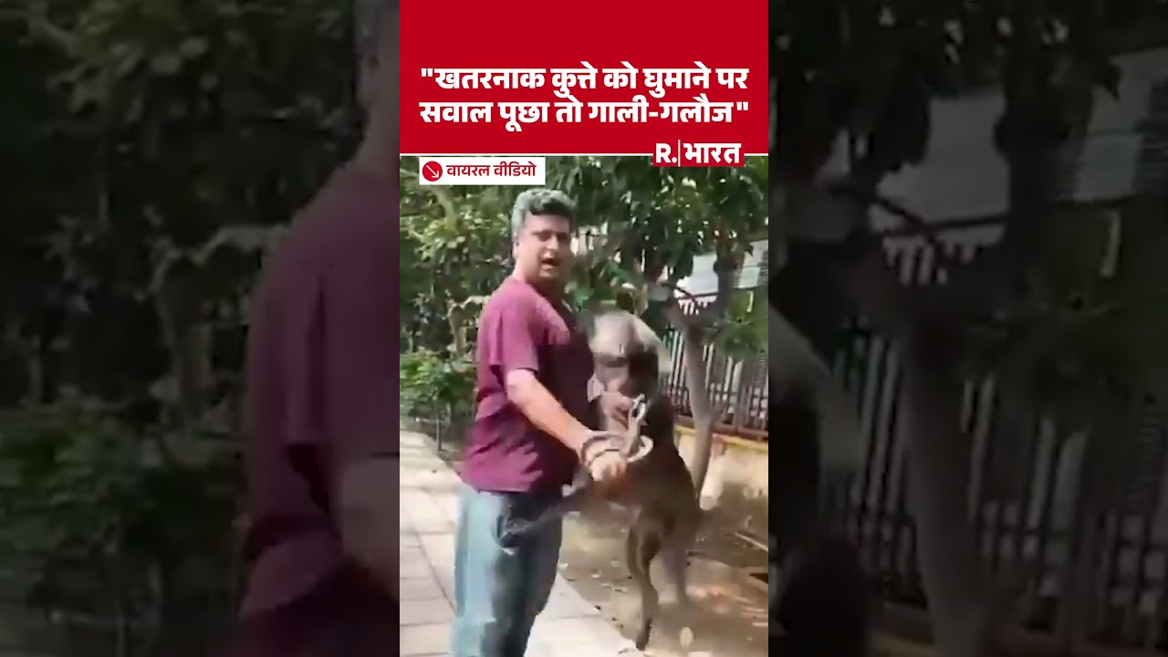 "खतरनाक कुत्ते को घुमाने पर सवाल पूछा तो गाली-गलौज" | Shorts | Dogs | Dog Breed | Dog Viral Video