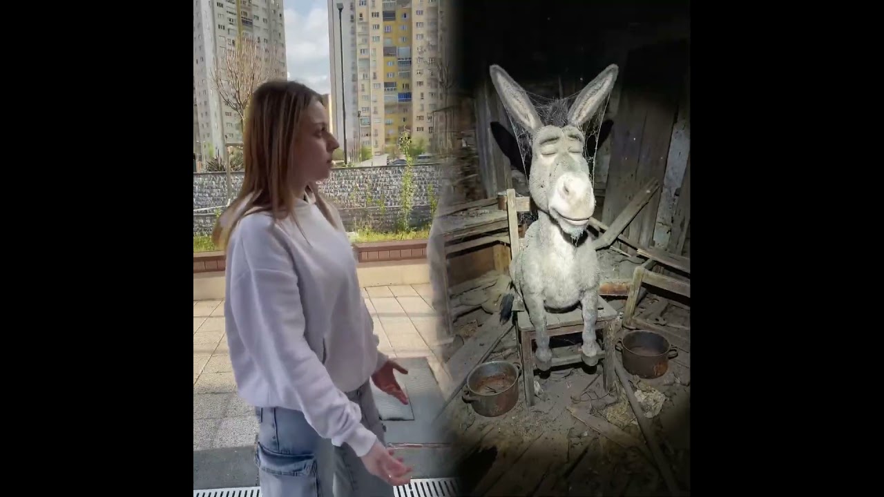 #illustration #tattoo #art #pov #procreate #drawing #whydidntmyexcomeback #digitalart