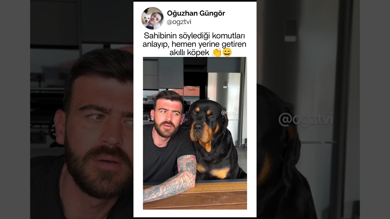 Bu köpek inanılmaz