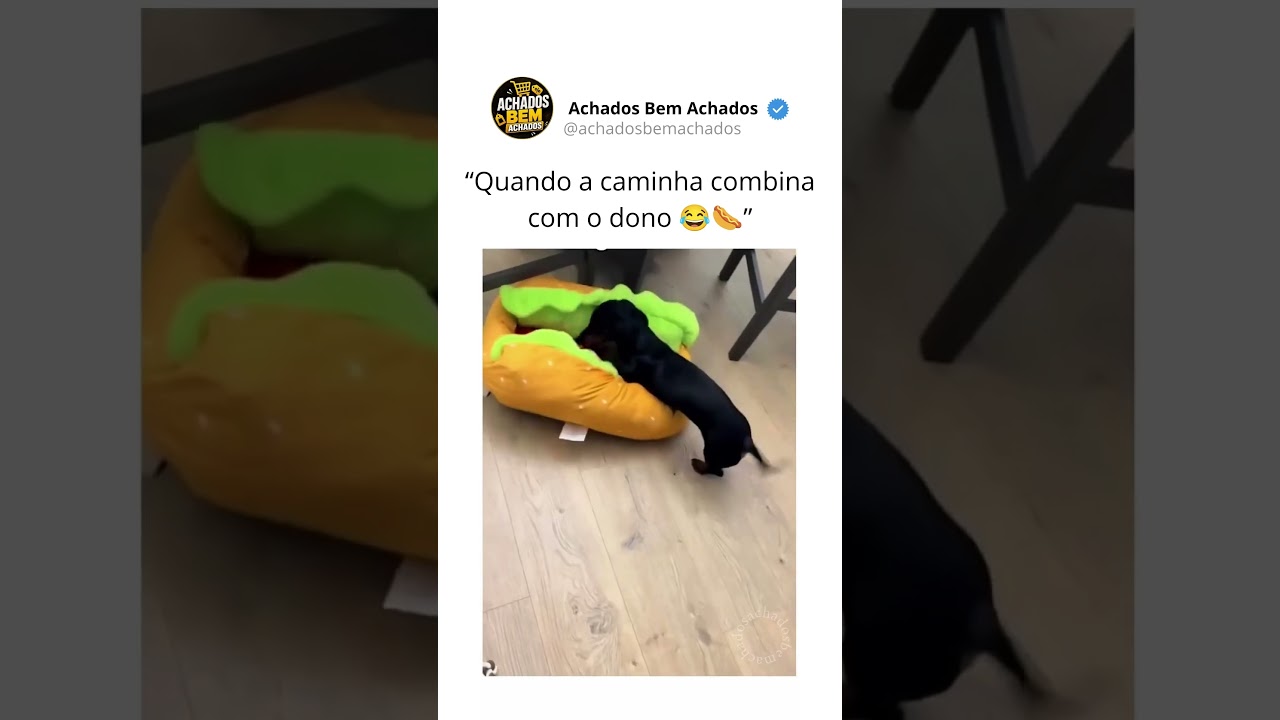 Quando a caminha combina com o dono 😂🌭🐶 #shopee #achadinhos #cachorro