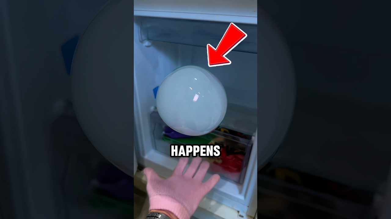 Putting Bubble in a Refrigerator and This Happened‼️🤯