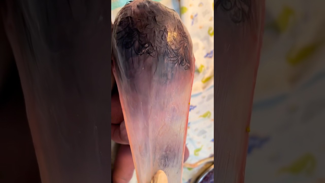 Just Delivery New Born Baby 👶#designerbaby #baby #adorably #newbornbaby #adoreble #babyshop #shorts