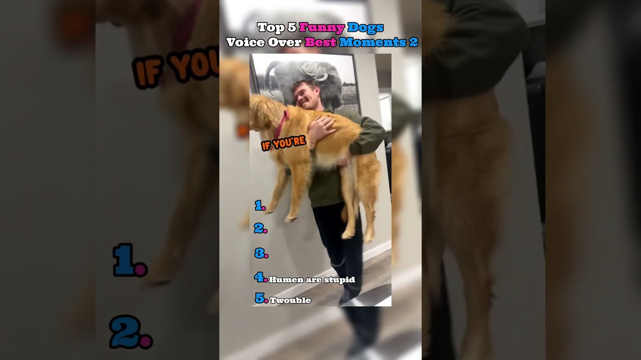 Top 5 animals voice over funny moments 😂😂😂 - Published by Top 5 Animal voice overs