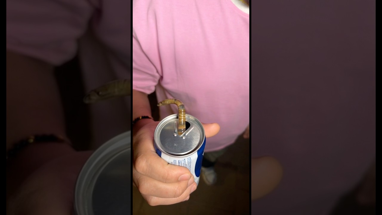 التوينز عاوزيين يشربو البيبسي مني شوفو حصل اي 🤔🫵😱