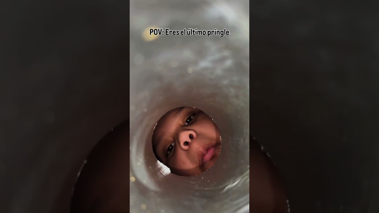 COMO SERIA SE NÓS FOSSEMOS A ÚLTIMA PRINGLES DO PACOTE