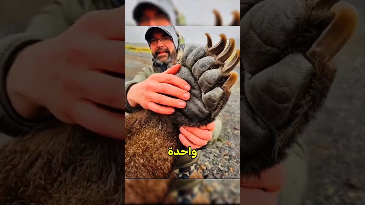 أخطاء خطيرة لا ترتكبها مع هذه الحيوانات!