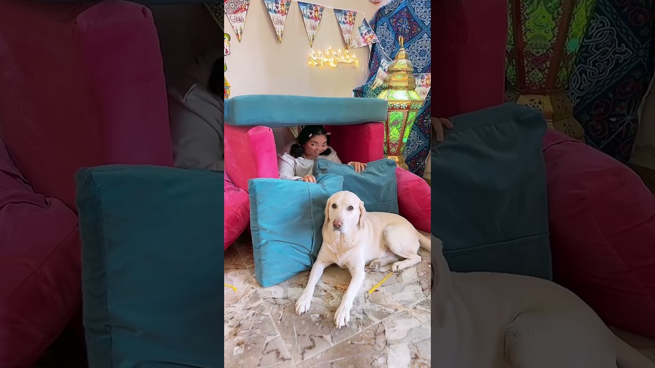 مين بيعمل بيت بالشلت زي أمونة