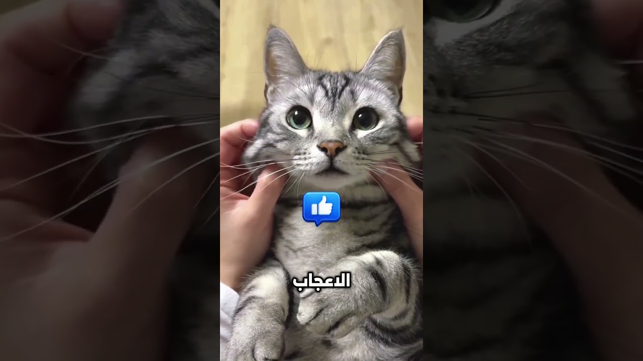 اتضح أن الطرف الآخر للأنبوب كان هنا! 😳