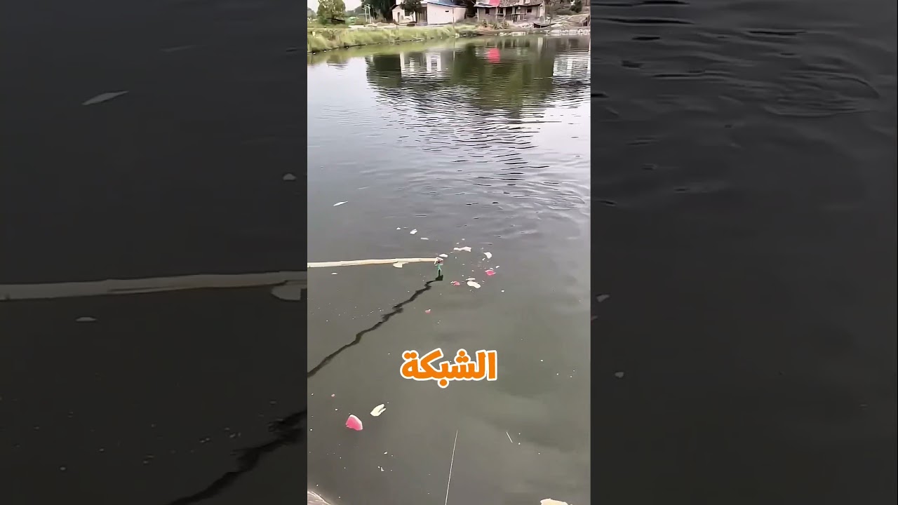 العجوز اللي بيصطاد السمك بالبطيخ! 🍉🐟
