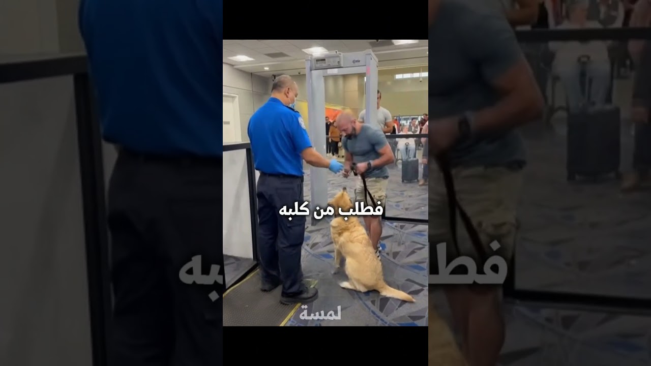 هذا لكلب مهذب لدرجة صدمة جميع الموظافين 🤯🐶 #شورت