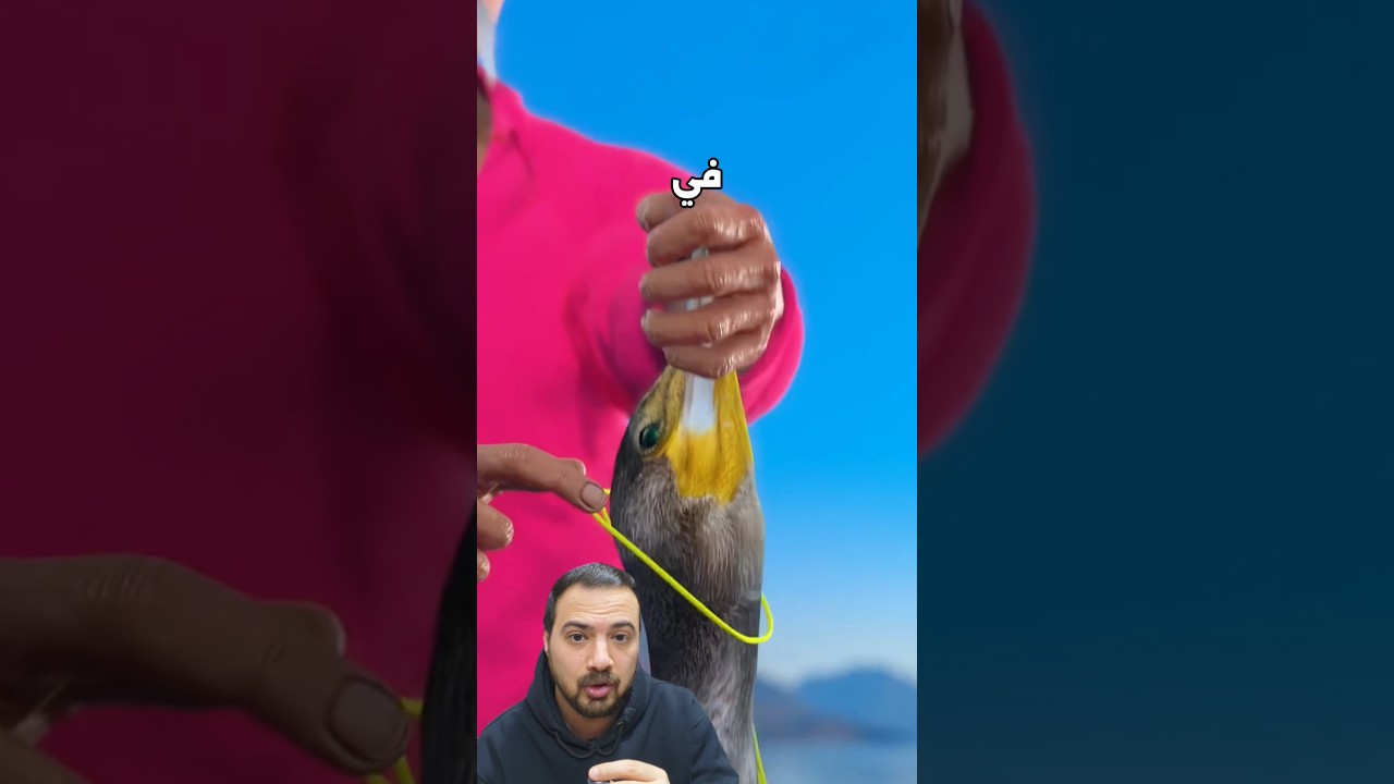 كان بينزل في المياة يصطاد السمك