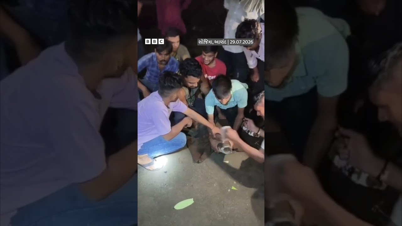 Gujarat: મગર ઘરના બાથરૂમમાં પેસી ગયો, કેવી રીતે રૅસ્ક્યૂ કરાયો