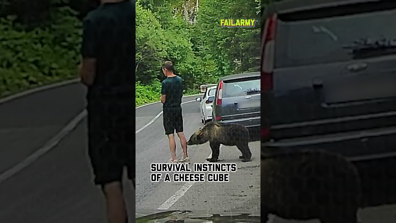 What happens when you don't pay attention #bear #wildanimals #animalencounters #scare #shorts