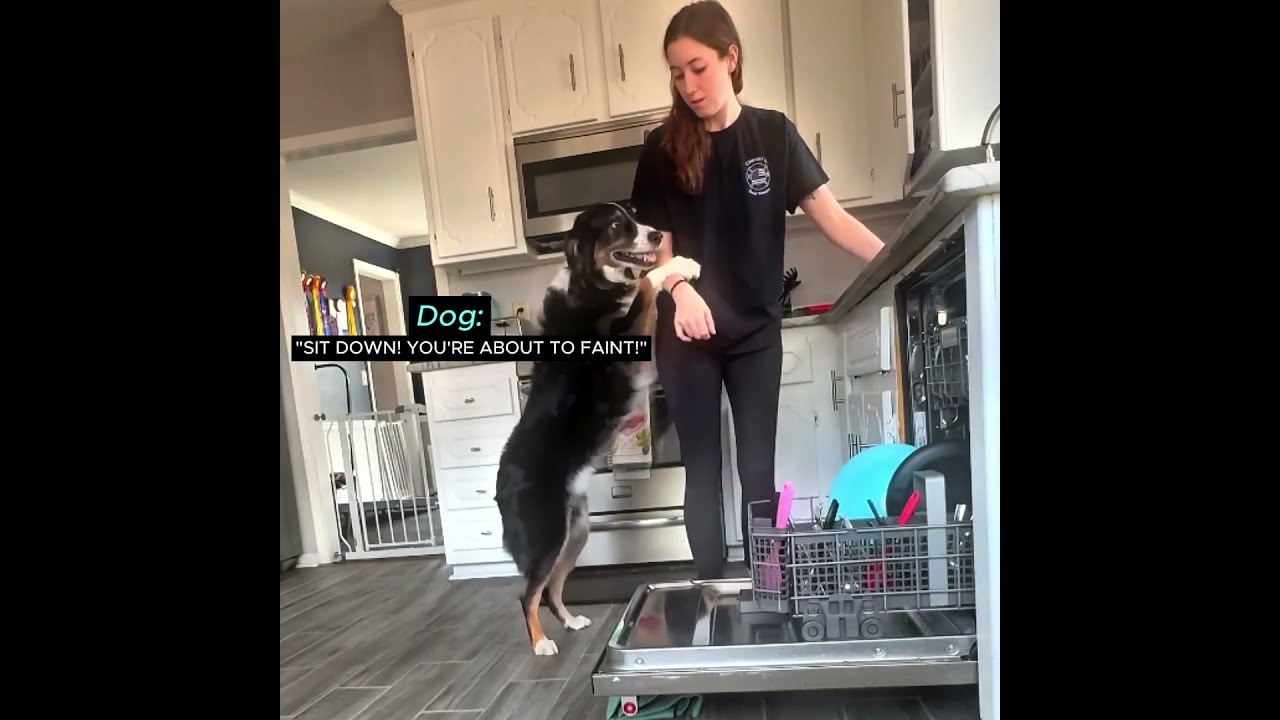 She has the best helper in the world 🥹 #shorts