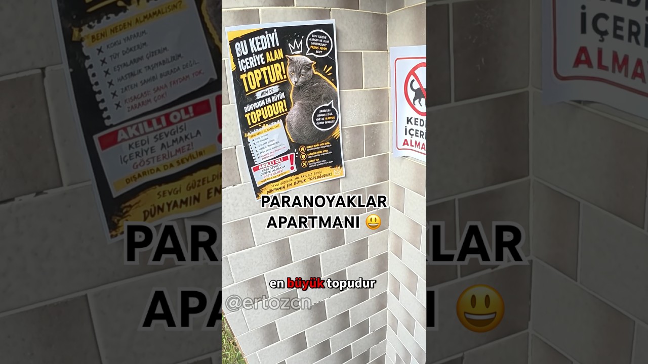 Deliler apartmanına hoşgeldiniz ahhsus #keşfet #motovlog #kurye #kedi #shorts