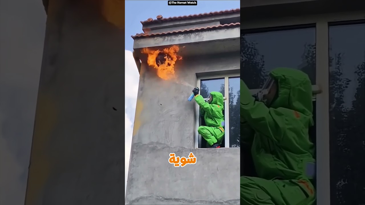 النهاية الصادمة لحرق خلية النحل 🔥🍯