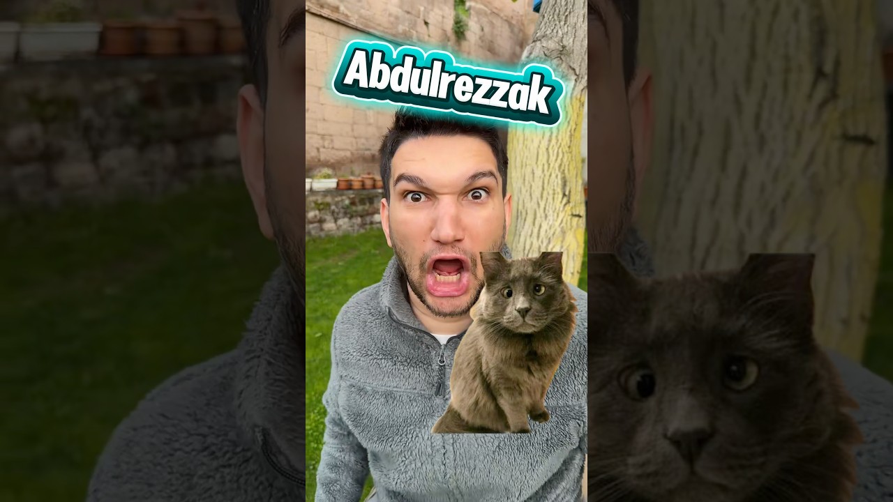 Kızların vs erkeklerin kedilerine koyduğu isimler ￼