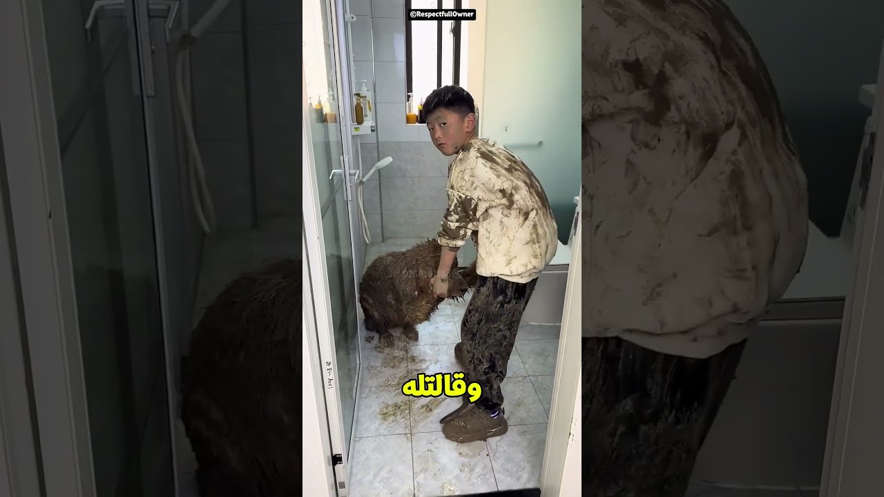 الكلب بقى أسد بسبب اللعب في الطين 🐶🦁