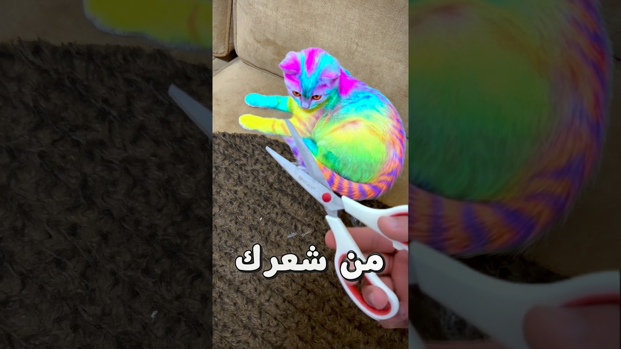 بتخليني اقص من شعرك وارسم فيه✂️
