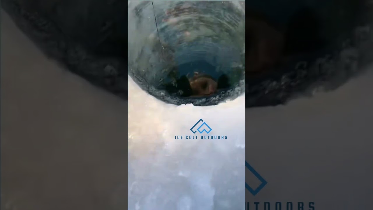 A heck of a catch #icefishing #wildlife #fishing #fish #fishingvideo #nature #outdoors #animal