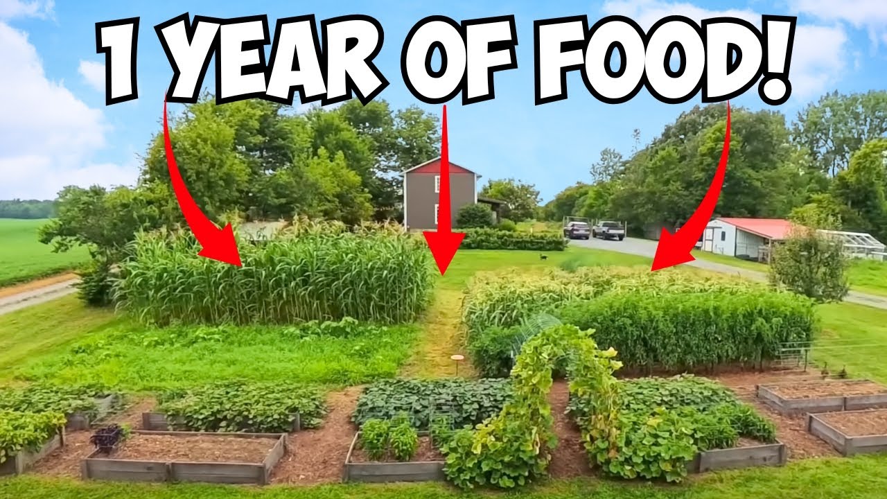 How a 1/8 Acre Garden Feeds a Family of 6 ALL YEAR! - Published by Anne of All Trades