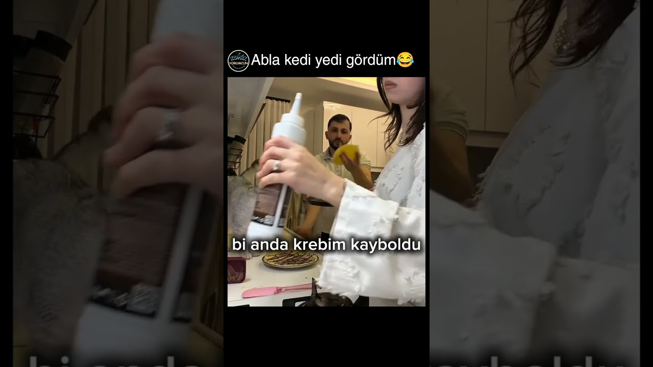 kedi bile şüphelendi @Nisa0furkan