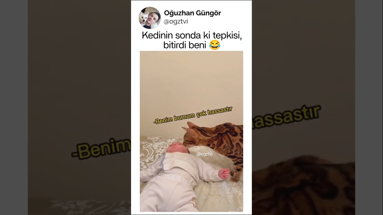 Koklayarak olayı çözen patican
