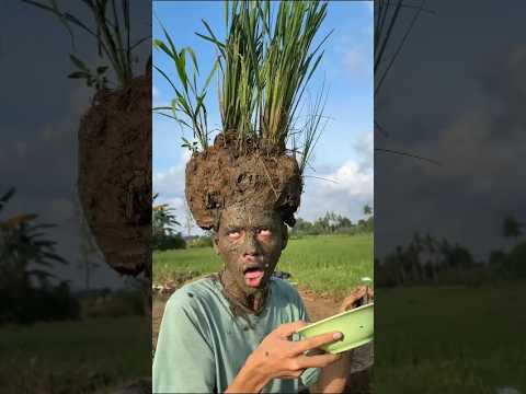 GARA GARA TEMBAKAN NASI PADANG #shorts #lucu #art #trending